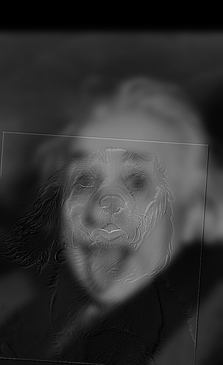 dy